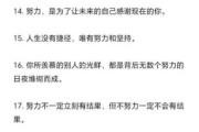 如何夸别人努力生活_夸别人努力生活的文案怎么写