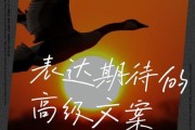 期待文案生活怎么写_如何写出打动人心的生活文案