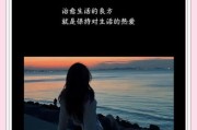 如何温柔生活_温柔生活是什么