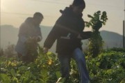 农村惬意生活怎么过_农村惬意生活有哪些乐趣