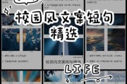 校园文案怎么写_大学生活文案灵感