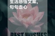 为了生活文案怎么写_为了生活走心文案范例