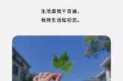 谁的生活不是文案_如何写出真实共鸣