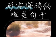 海鸥文案艺术图案怎么写_海鸥文案适合哪些场景
