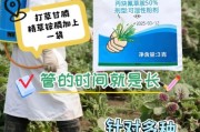 种草科技产品叫什么_值得买吗