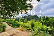 农村生活有哪些好处_农村生活真的好吗