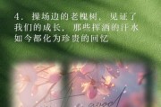 学校生活文案怎么写_如何拍出ins风校园照