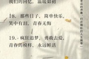 艺术人生致青春文案怎么写_青春主题文案创作技巧