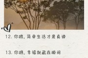 如何提升生活幸福感_美好日常生活文案怎么写