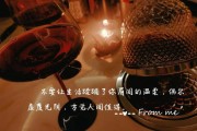白天归顺生活是什么意思_如何做到白天归顺生活