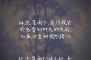 流星雨文案怎么写_流星雨文案生活灵感