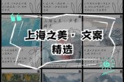 上海文案温柔生活怎么写_温柔治愈句子有哪些