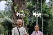 爷爷奶奶怎么拍生活照_爷爷奶奶生活文案怎么写