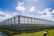 镇江荷兰农业高科技产品有哪些_如何引进