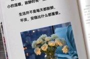 安稳小生活是什么_如何打造安稳小生活