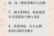 茶园文案怎么写_茶园生活文案范例
