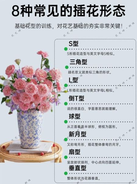 种花艺术怎么入门_新手种花艺术常见问题