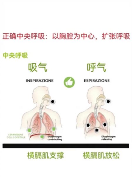 如何学唱歌_唱歌气息怎么练