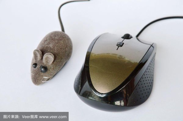 老鼠属于什么科技产品_鼠标是输入设备吗