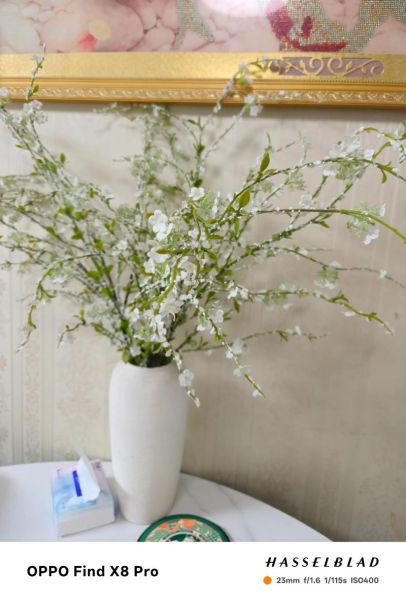 花点缀生活怎么做_花点缀生活有哪些技巧