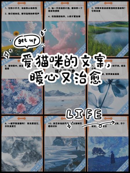 小猫艺术文案怎么写_如何打动爱猫人的心