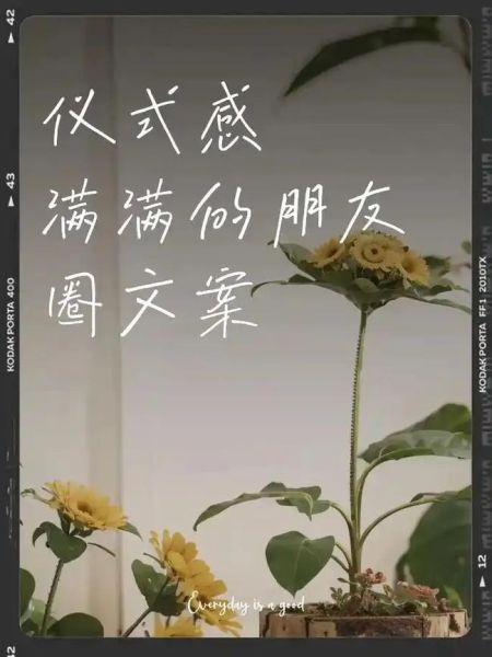 如何找回生活仪式感_回归现实生活的文案怎么写