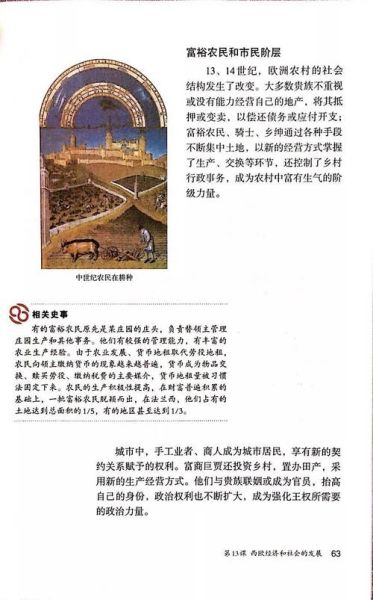 历史电子课本大全_如何免费下载