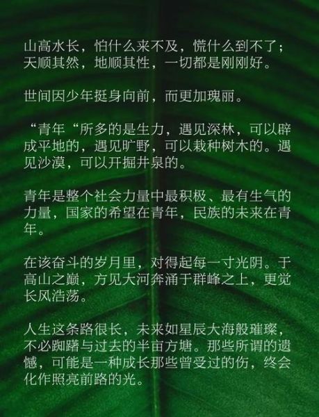 青春是什么_如何活出青春感