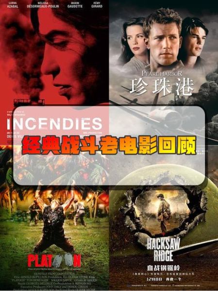 历史战斗片大全_哪些值得反复观看