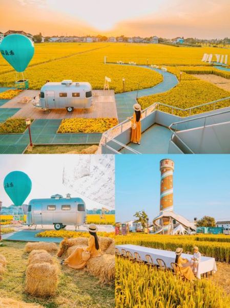 稻田艺术是什么_稻田艺术怎么玩