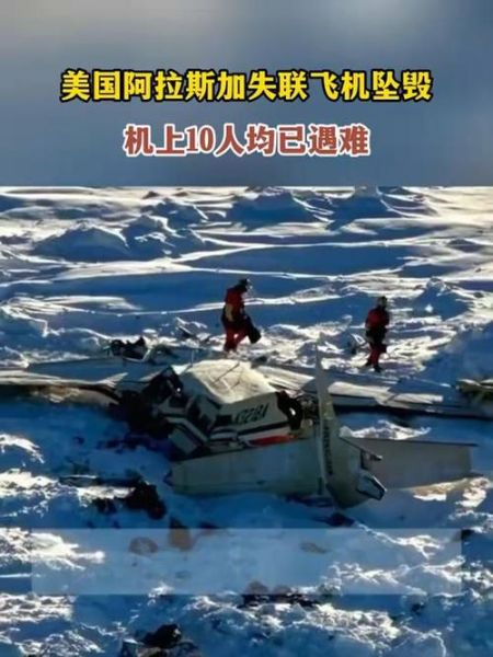 美国科技飞机坠毁原因_最新调查进展