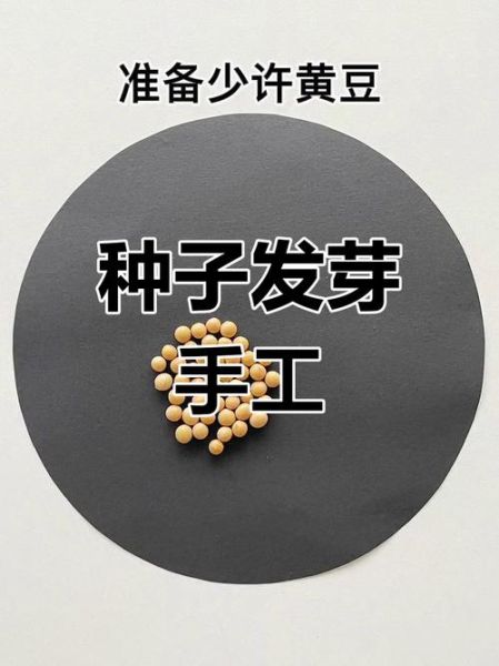 艺术种子怎么种_艺术种子适合什么土壤