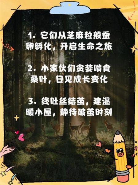 蚕宝宝艺术文案怎么写_蚕宝宝艺术文案有哪些创意