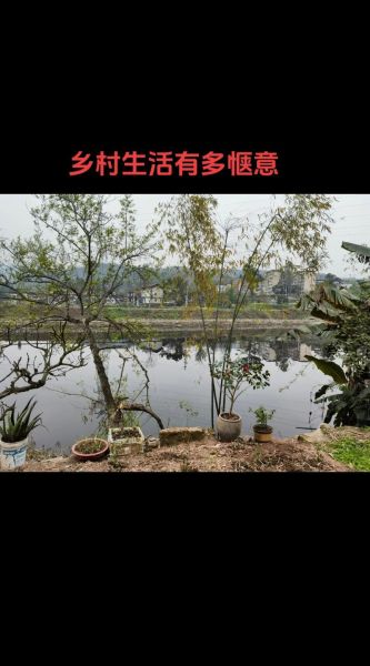 农村简单的生活_农村生活的好处有哪些