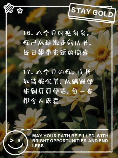 文案宝艺术是什么_怎么用文案宝艺术写爆款文案