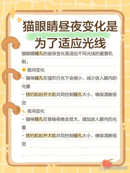 猫眼历史图片大全_如何查找高清原图