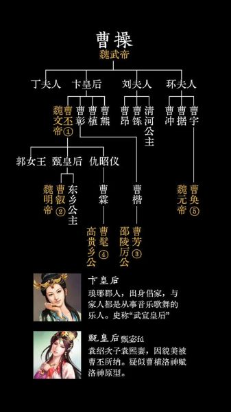 曹魏历史简介大全_曹魏怎么灭亡的