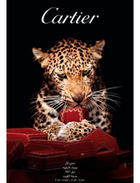 卡地亚历史大全_卡地亚品牌故事