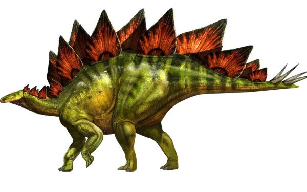 恐龙图片大全_恐龙真实长什么样