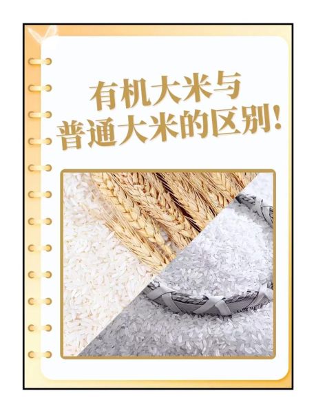 有米科技怎么样_有米科技有哪些优势