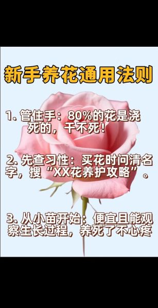 鲜花怎么养才能花期长_生活有鲜花如何选花