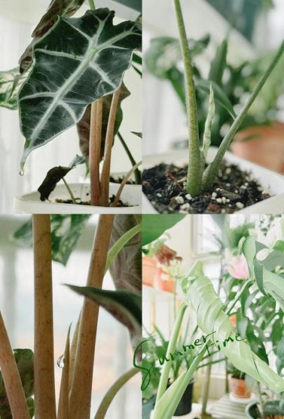 生活小美好有哪些_如何发现治愈瞬间