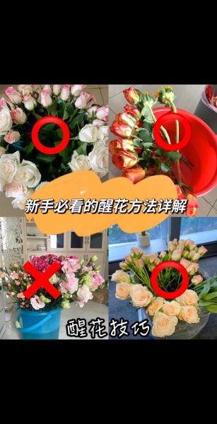 新手怎么开始养花_记录养花生活的正确姿势