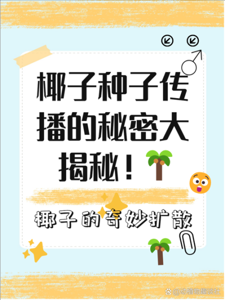 椰子历史图片大全_椰子起源与传播路径