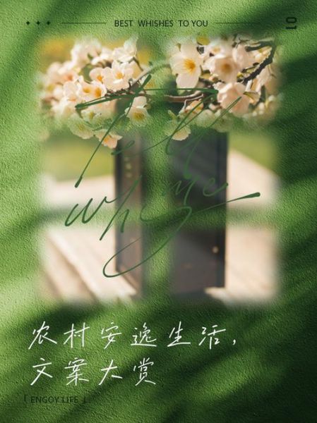 如何享受安逸生活_安逸生活的秘诀是什么