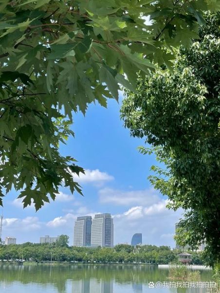 晴天如何拍好照片_晴天适合去哪玩