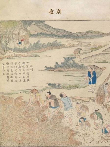 农业历史图片大全_古代农耕工具演变过程