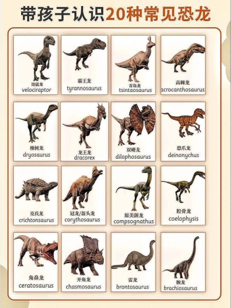 恐龙是怎么灭绝的_恐龙有哪些种类