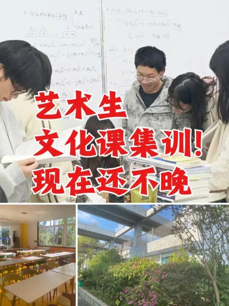 集训艺术是什么_集训艺术和普通培训区别