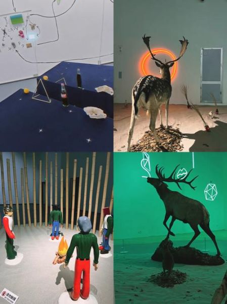 艺术细菌是什么_艺术细菌如何培养